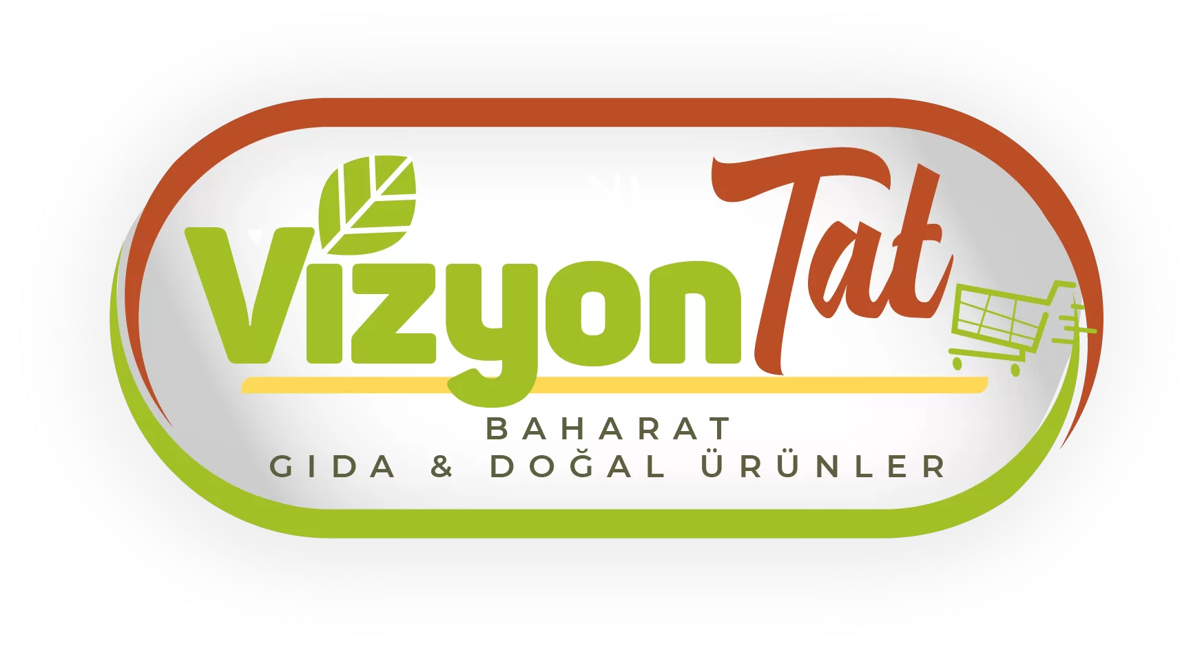 vizyon